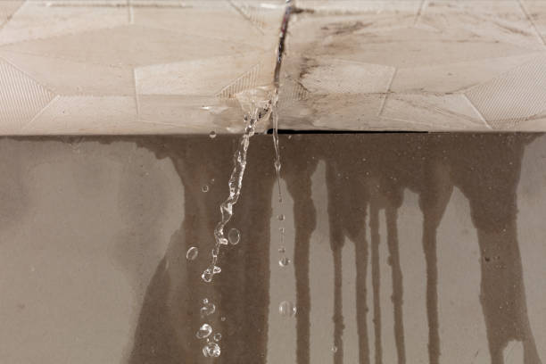 Professional Water Damage Repair technician working in Nazareth, TX